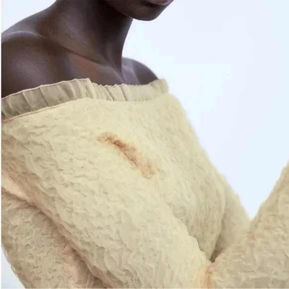 Zara NWT light yellow off shoulder long sleeve textured mesh ruffle trim top - Picture 7 of 10